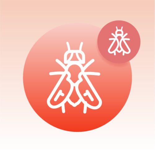 Standard Drosophila Species Lipidomics