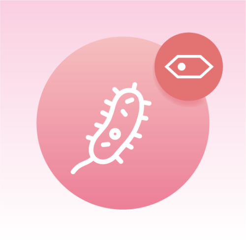 Standard E. coli Cell Lipidomics