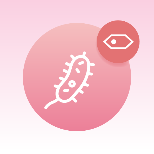 Standard E. coli Cell Lipidomics