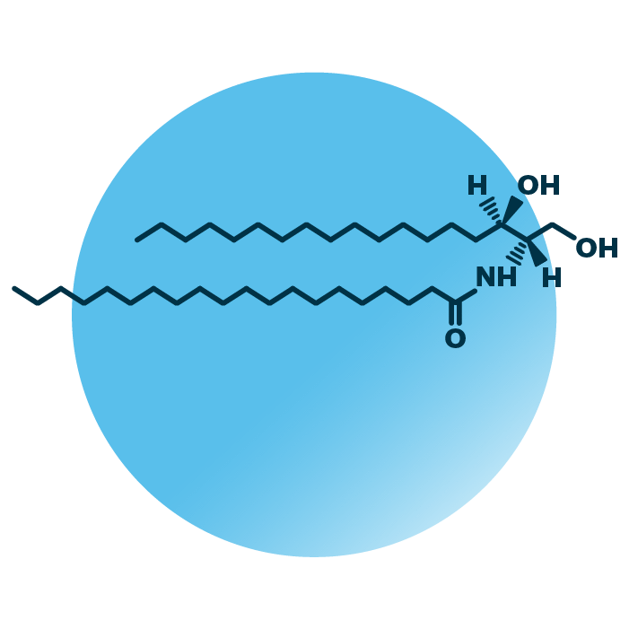 An example for the molecular structure of dihydroceramide, specifically Cer(d18:0/20:0).