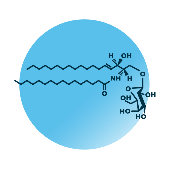 An example for the molecular structure of galactosylceramide, specifically GalCer(d18:1/16:0).