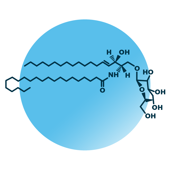 An example for the molecular structure of glucosylceramide, specifically GlcCer(d18:1/22:0).