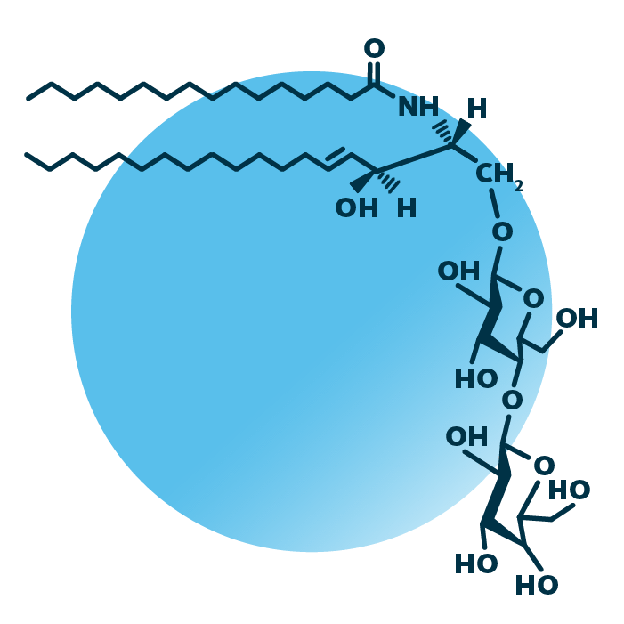 An example for the molecular structure of lactosylceramide, specifically LacCer(d18:1/16:0).