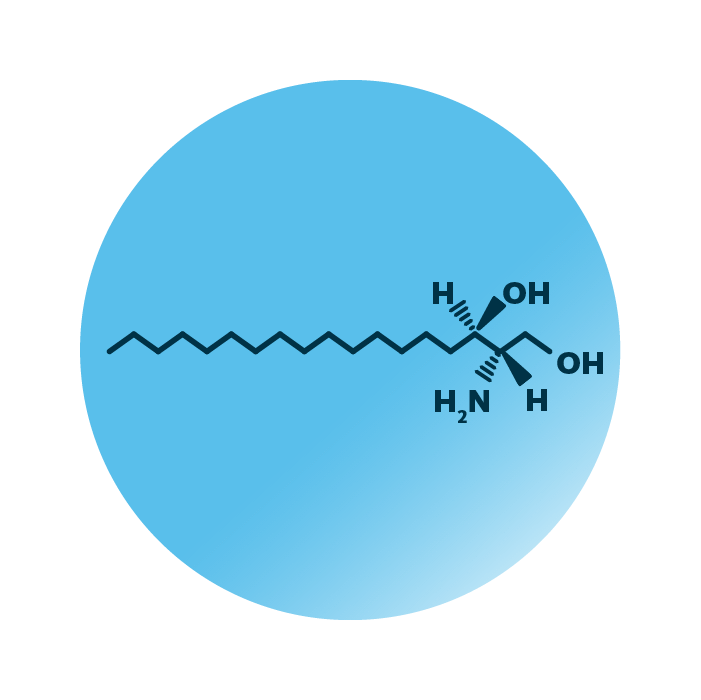 An example for the molecular structure of sphinganine, specifically SPB 18:0;O2.