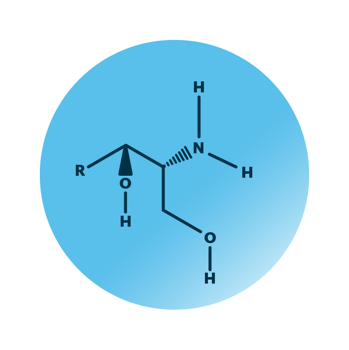 General molecular structure of the lipid group sphingoid bases.