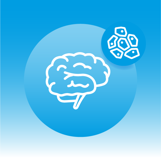 Premium Human Neuro Tissue Lipidomics