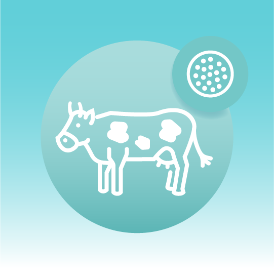 Premium Milk Exosome Lipidomics
