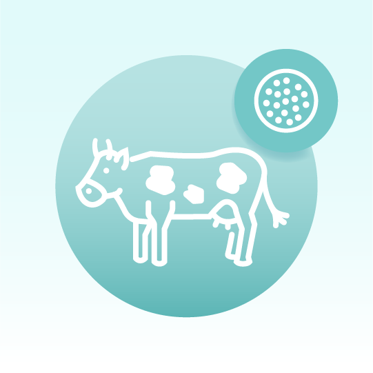 Standard Milk Exosome Lipidomics