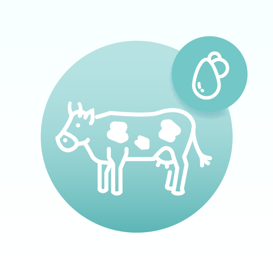 Basic Milk Fat Lipidomics