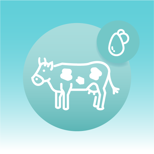 Premium Milk Fat Lipidomics