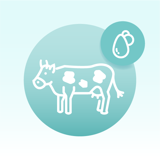Standard Milk Fat Lipidomics