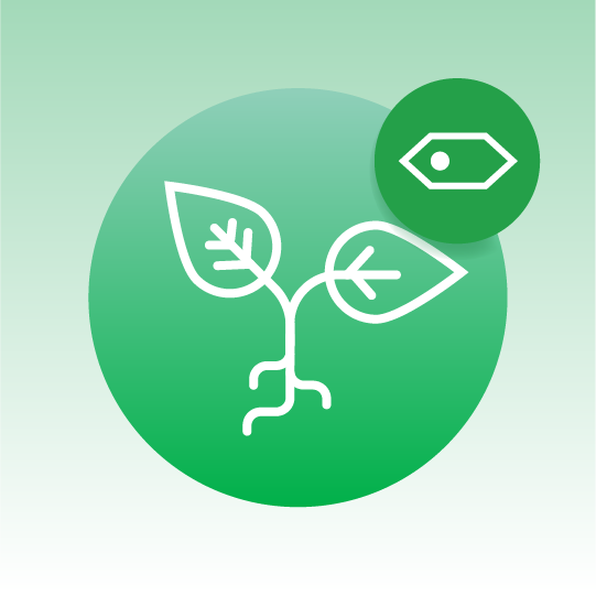 Standard Plant Cell Lipidomics