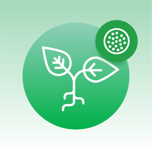 Standard Plant Exosome Lipidomics