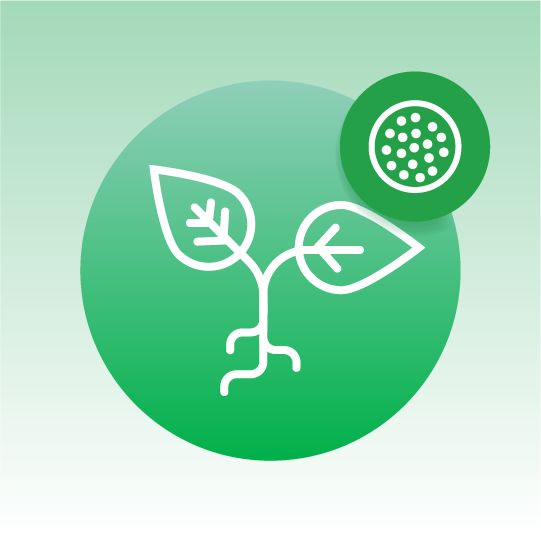 Standard Plant Exosome Lipidomics