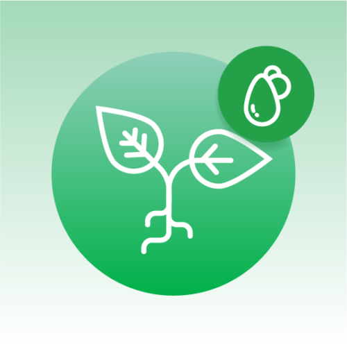 Standard Plant Oils Lipidomics