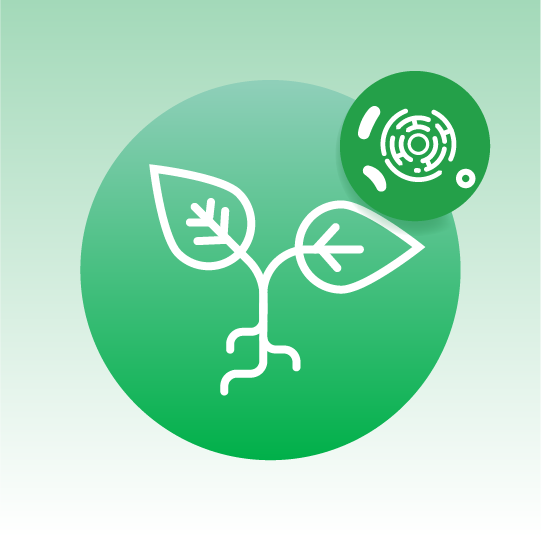 Standard Plant Organelle Lipidomics