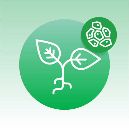 Standard Plant Tissue Lipidomics