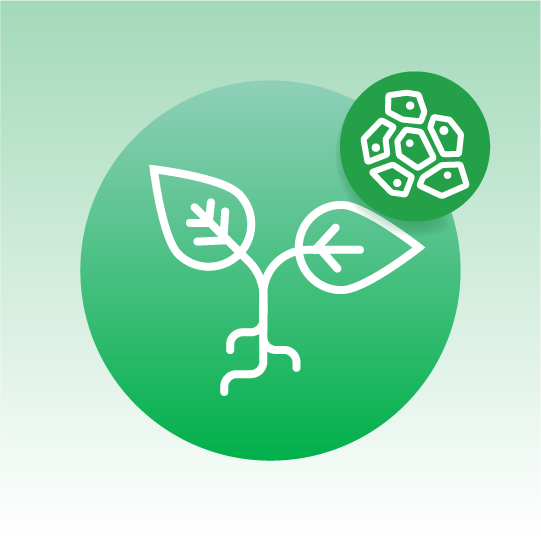 Standard Plant Tissue Lipidomics