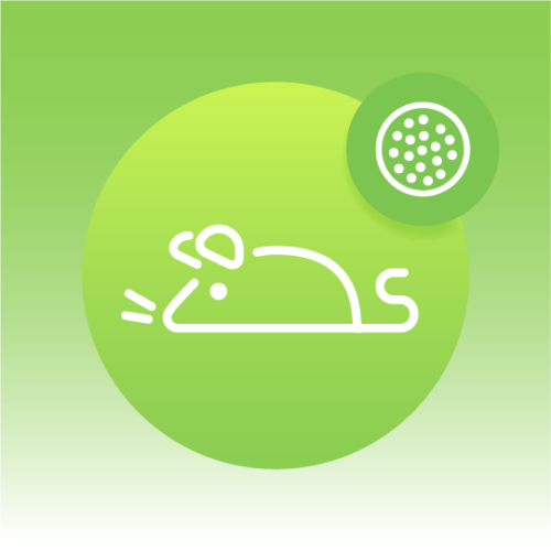 Premium Rodents Exosome Lipidomics