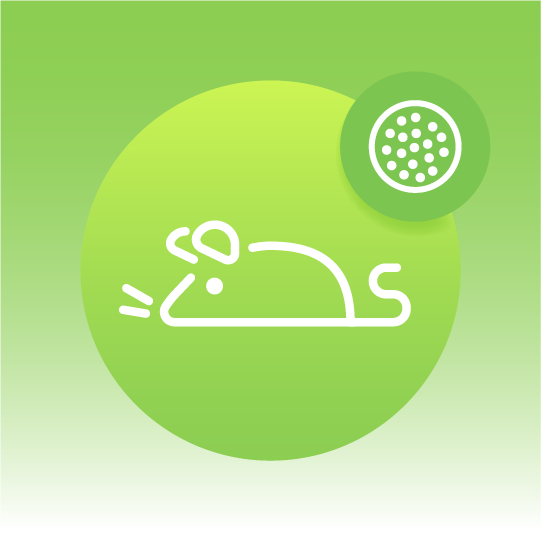 Premium Rodents Exosome Lipidomics