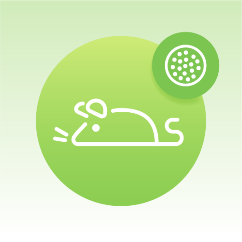 Standard Rodents Exosome Lipidomics