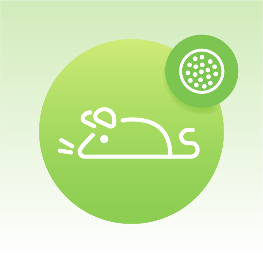 Standard Rodents Exosome Lipidomics