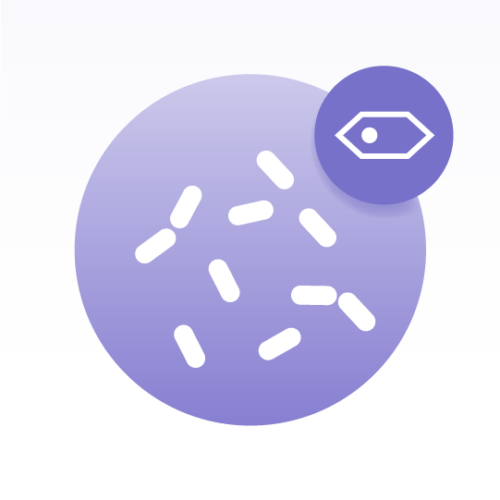 Basic Yeast Cell Lipidomics