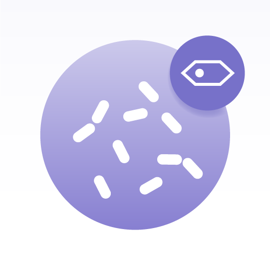 Basic Yeast Cell Lipidomics