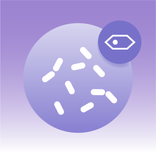 Premium Yeast Cell Lipidomics