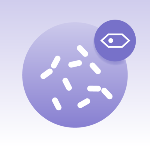 Standard Yeast Cell Lipidomics