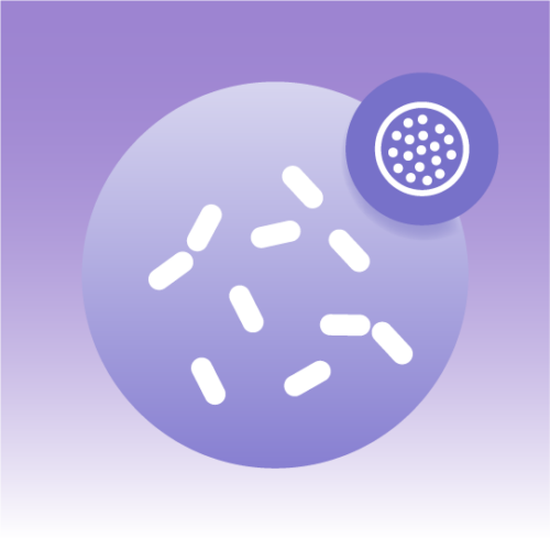 Premium Yeast Exosome Lipidomics