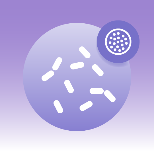Premium Yeast Exosome Lipidomics