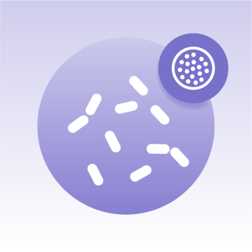 Standard Yeast Exosome Lipidomics
