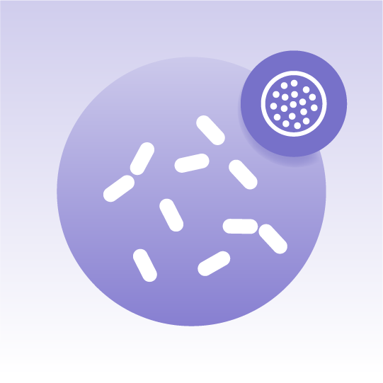 Standard Yeast Exosome Lipidomics