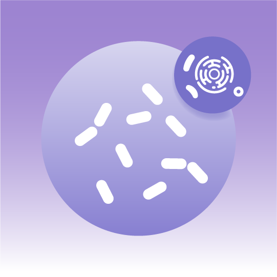 Premium Yeast Organelle Lipidomics