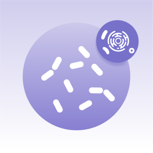 Standard Yeast Organelle Lipidomics