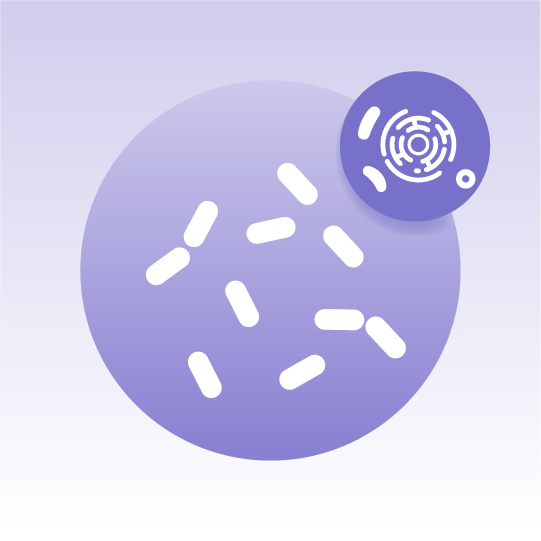 Standard Yeast Organelle Lipidomics
