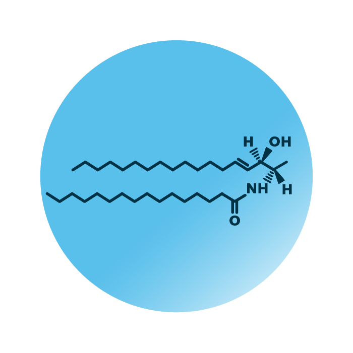 An example for the molecular structure of deoxyceramide, specifically deoxyCer(m18:1;1/16:0;0).