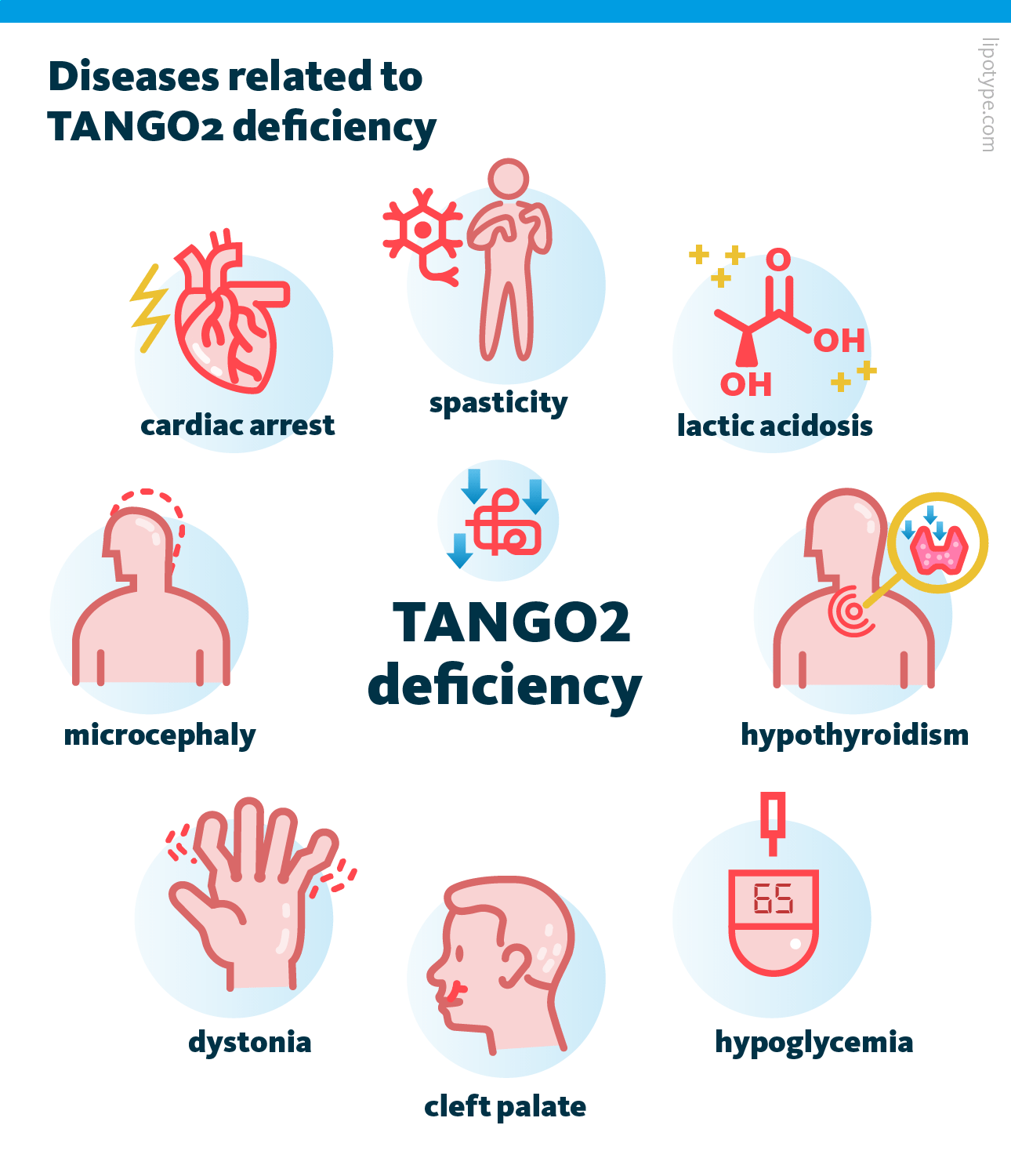 TANGO2 mutations may play a role in the development of several diseases and health conditions, such as cardiac arrest, hypothyroidism, cleft palate, and others.