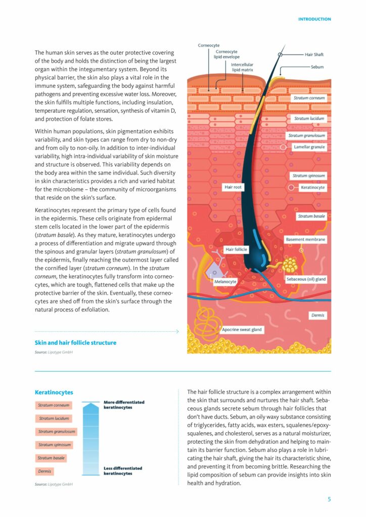 Skin Lipidomics - page 5