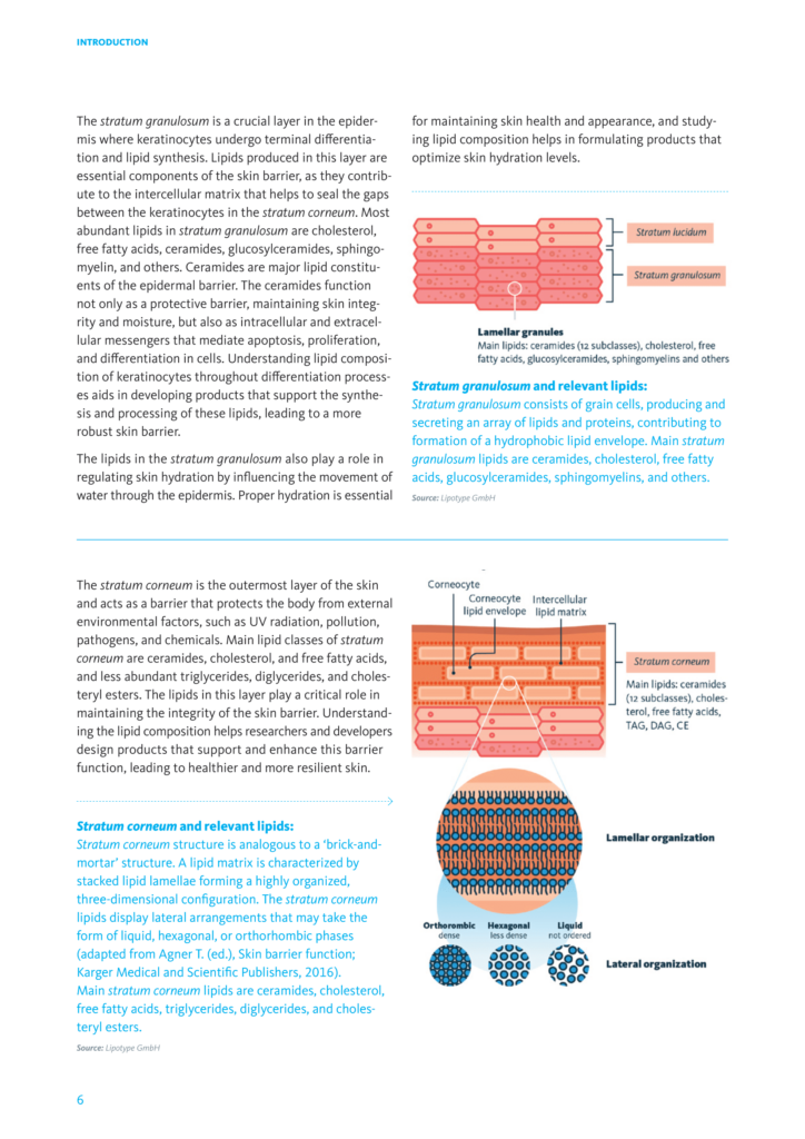 Skin Lipidomics - page 6