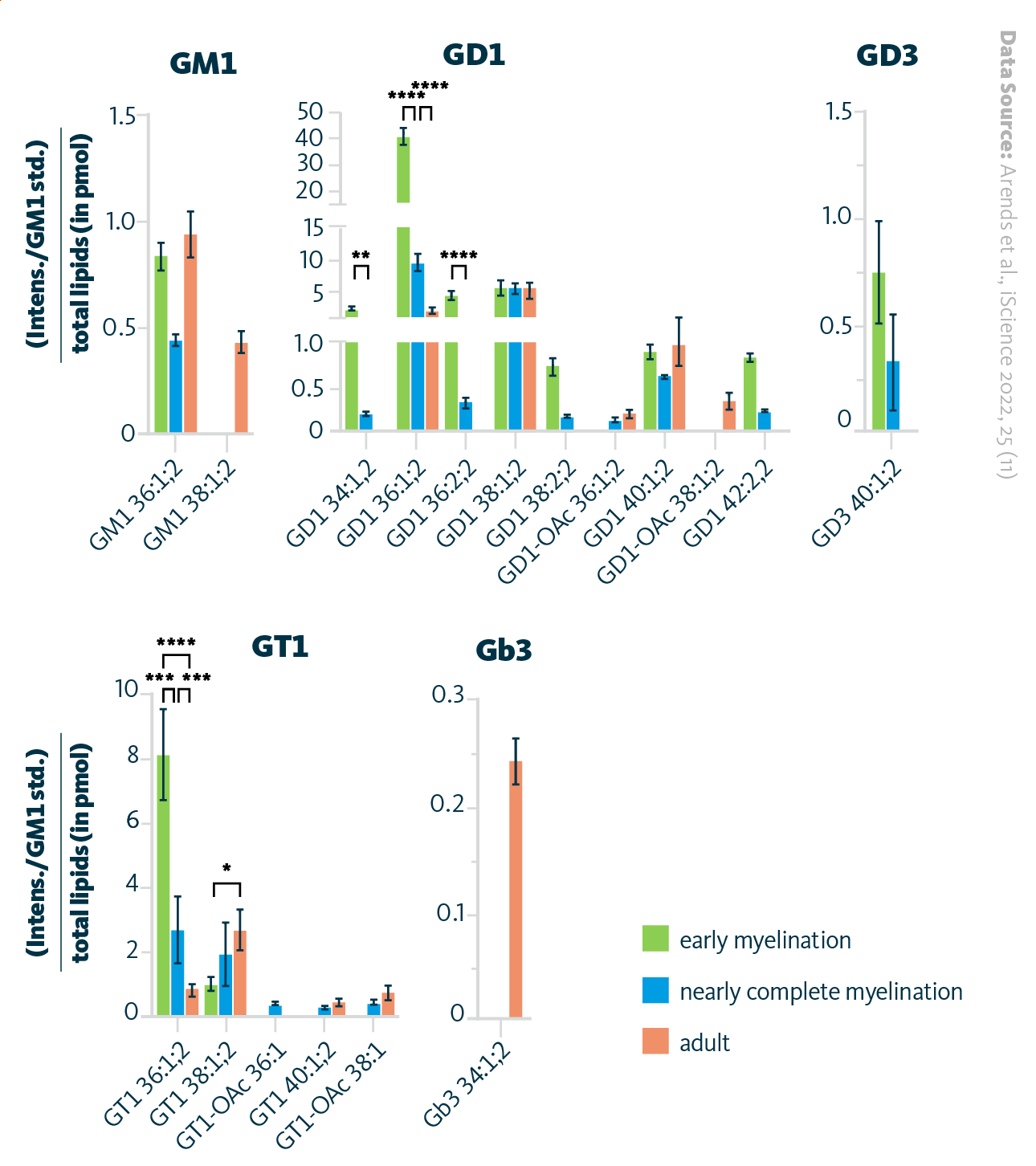 The alteration in ganglioside content within the murine optic nerve during developmental stages. The composition of gangliosides in optic nerve during early myelination, nearly complete myelination, and adult stages. A sample size of 4 for each age group was used. All data are presented as mean ± standard deviation.