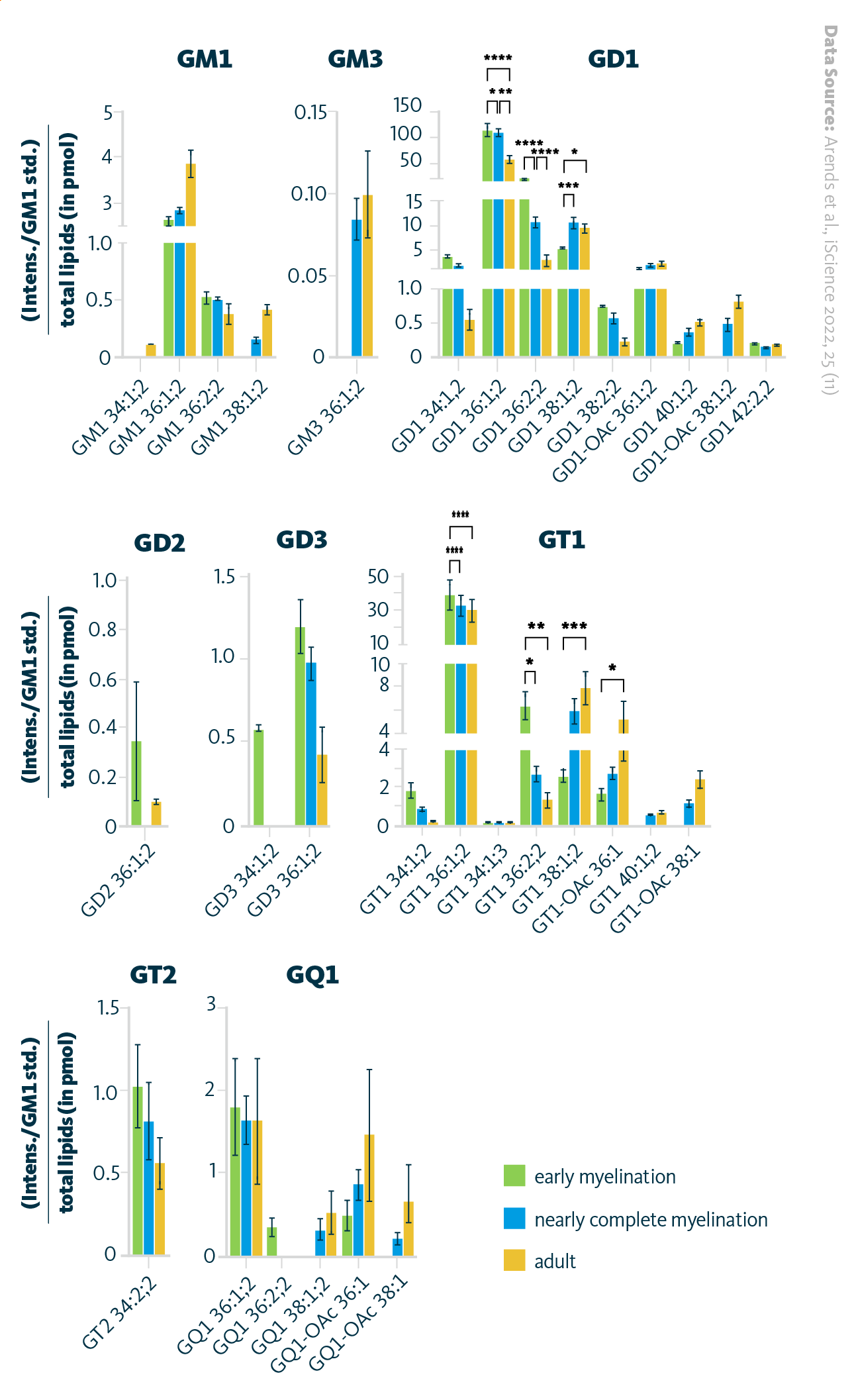 The alteration in ganglioside content within the murine brain during developmental stages. The composition of gangliosides in brain during early myelination, nearly complete myelination, and adult stages. A sample size of 4 for each age group was used. All data are presented as mean ± standard deviation.