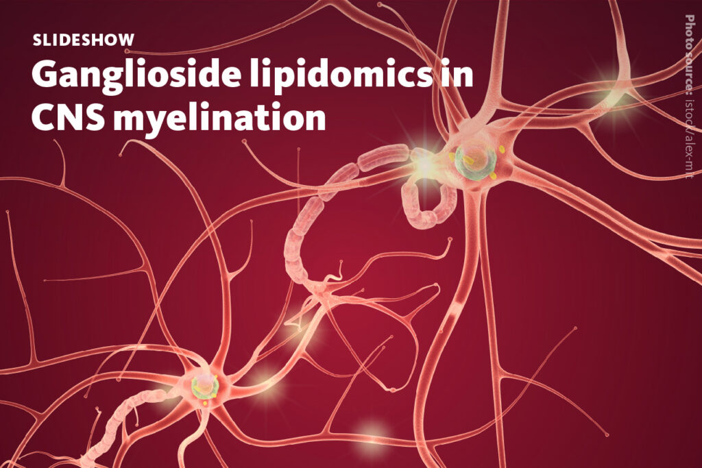 Slide 1: Ganglioside lipidomics in CNS myelination.