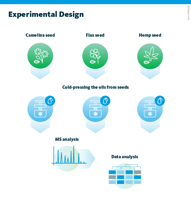 Experimental design depicting different seeds, cold-pressing the oils from seeds, performing MS analysis and data analysis.