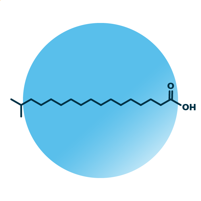 An example for the molecular structure of isostearic acid.