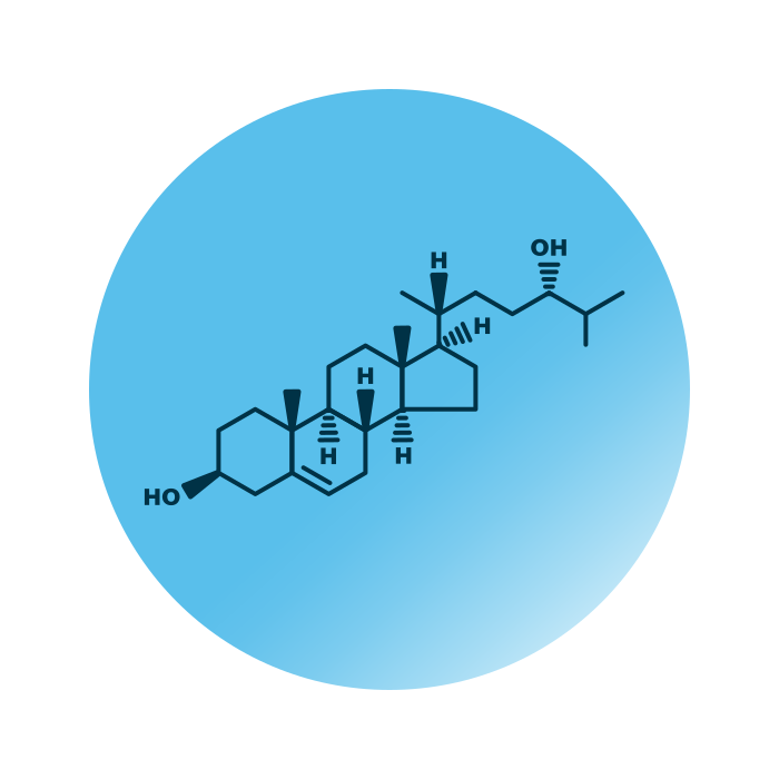 An example for the molecular structure of oxidized cholesterols, specifically oxyChol 24S-hydroxy-cholesterol.