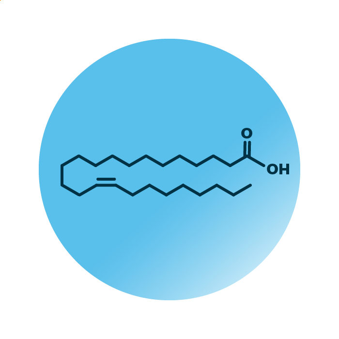 An example for the molecular structure of FA 24:1;0.