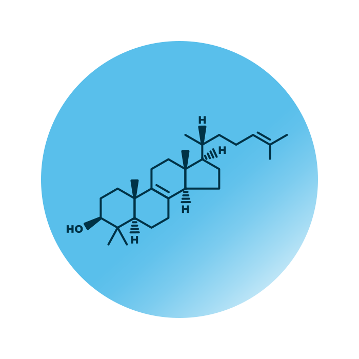 General molecular structure of lanosterol.