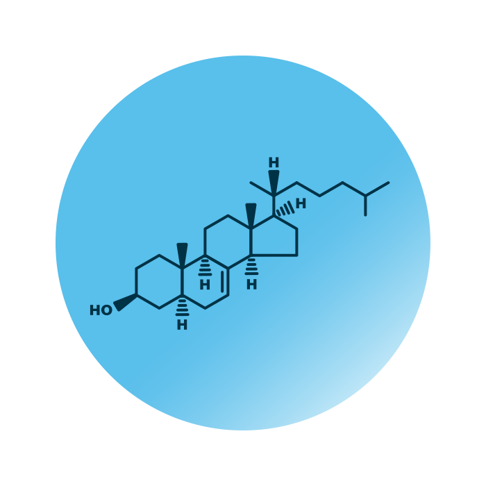 General molecular structure of lathosterol.